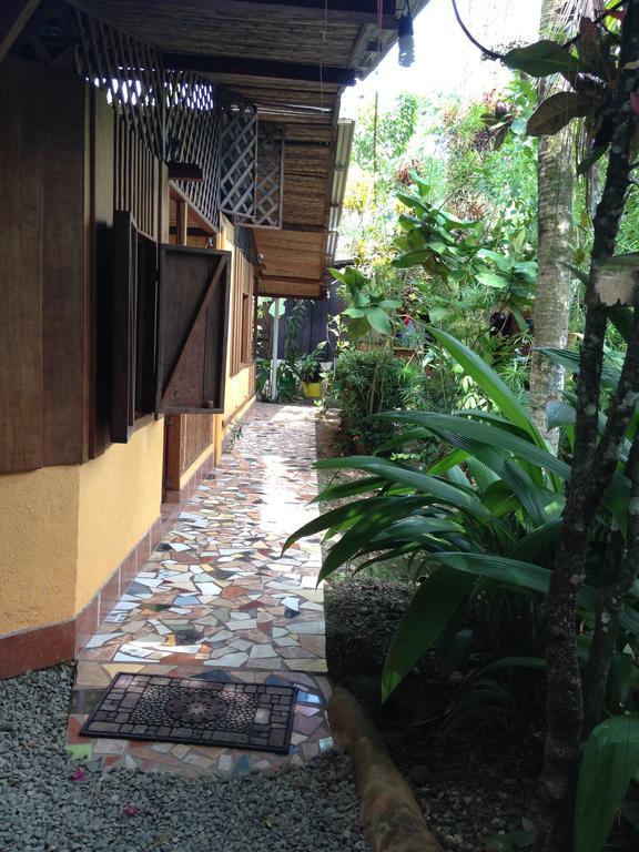 Villa La Casa de Rolando Puerto Viejo de Talamanca Exterior foto
