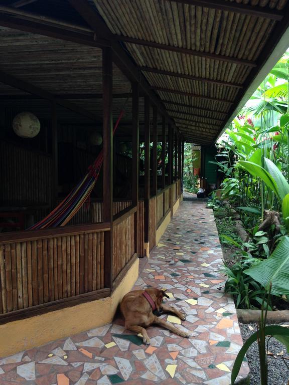 Villa La Casa de Rolando Puerto Viejo de Talamanca Exterior foto